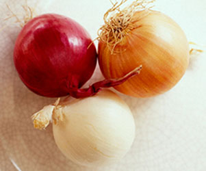 onions2.jpg